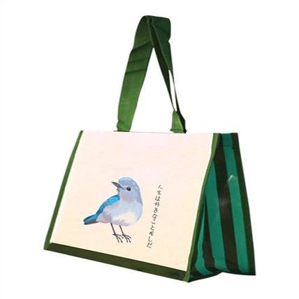 Meilleurs sacs à provisions tissés PP laminés